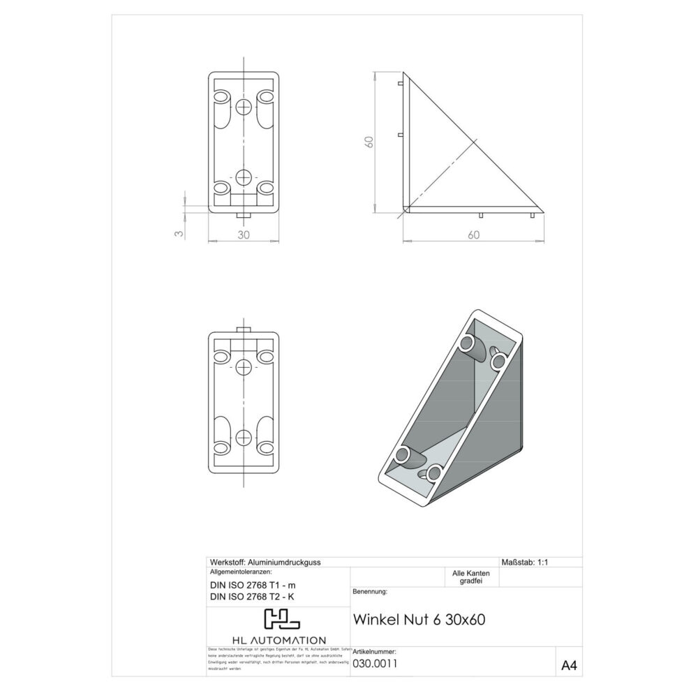 Winkel Nut 6 30x60 – Bild 2